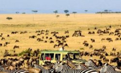 7 days-Tanzania-Safari Mpenzi Safaris