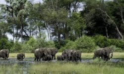 Botswana-SouthAfrica-and-Namibia-Mpenzi Safaris