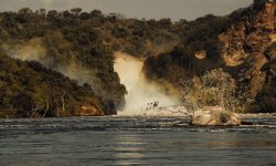 Murchsion Falls mpenzi safaris