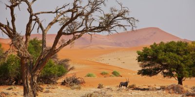 Namibia African Safari Tours- Mpenzi Safaris