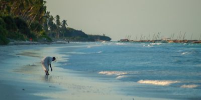 Zanzibar African Safari Tours - Mpenzi Safaris