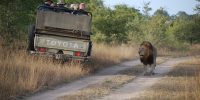 lgbtq mpenzi safaris