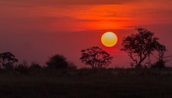 Botswana Short African Safari Tours & Packages - Mpenzi Safaris