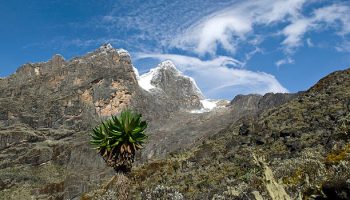 Rwenzori Mountains Trekking Rwenzori Mountains Trekking