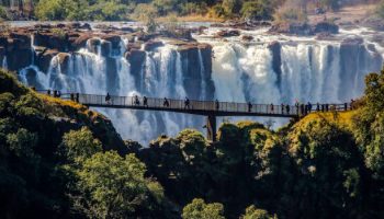 Victoria Falls safari Victoria Falls safari
