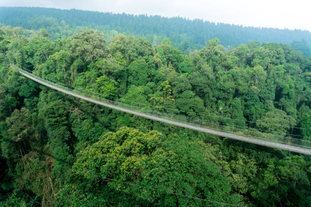 Unique Things to Do in Rwanda Unique Things to Do in Rwanda