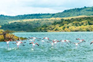 1-day Arusha National Park Safari 1-day Arusha National Park Safari
