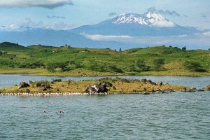1-day Arusha National Park Safari 1-day Arusha National Park Safari