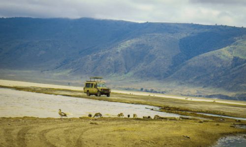 1-day Ngorongoro crater safari 1-day Ngorongoro crater safari