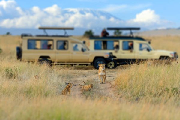 3-day masai mara budget safari 3-day masai mara budget safari