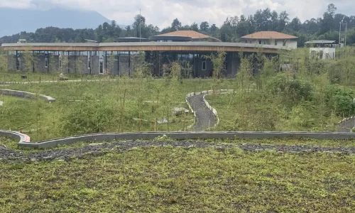 Le Bambou Gorilla Lodge
