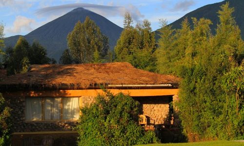 Volcanoes National Park Rwanda
