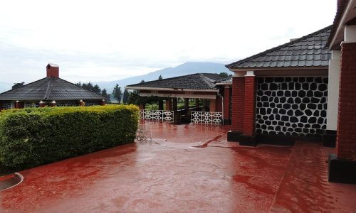 Volcanoes National Park Rwanda