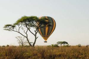 3-Day Amboseli Safari
