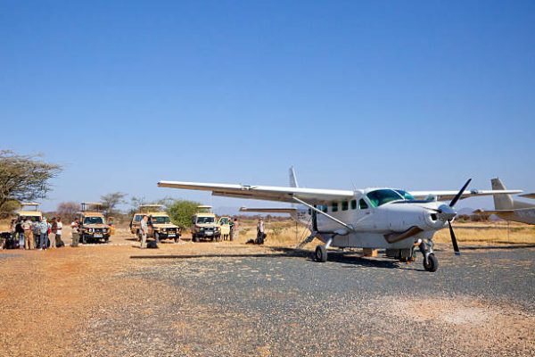 3-Day Fly-In Serengeti Safari 3-Day Fly-In Serengeti Safari