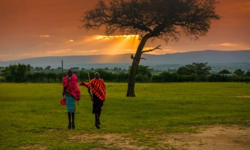 4-Day Masai Mara Safari 4-Day Masai Mara Safari