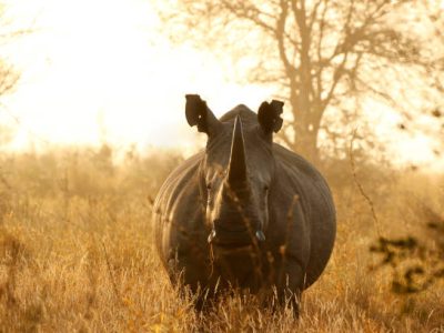 5-Day Tanzania Safari Itinerary